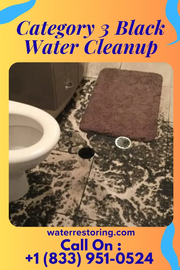 Category 3 Black Water Cleanup in Stratford, TX