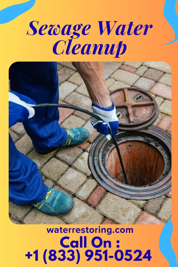 Sewage Water Cleanup in Stratford, TX